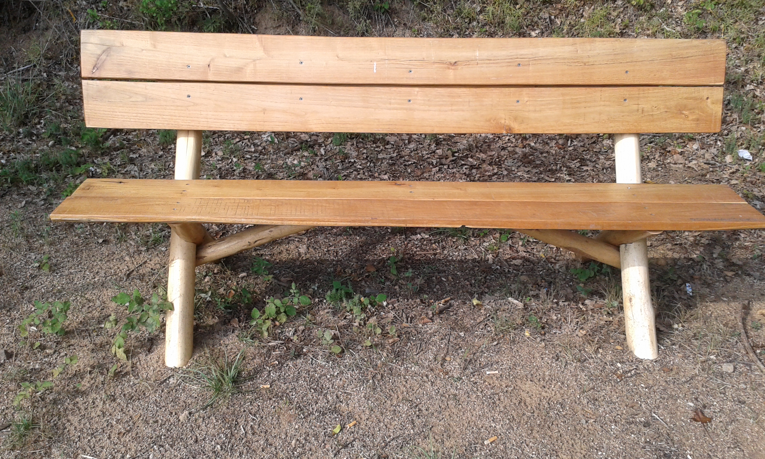 Banc de fusta de castanyer al bosc