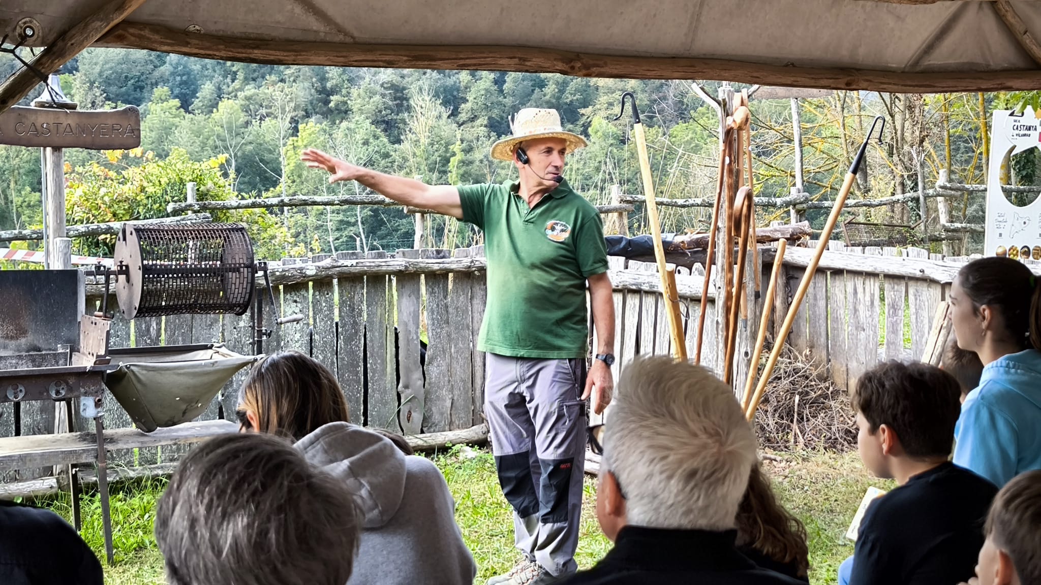 Recuperacio dels castanyers del Montseny a Viladrau