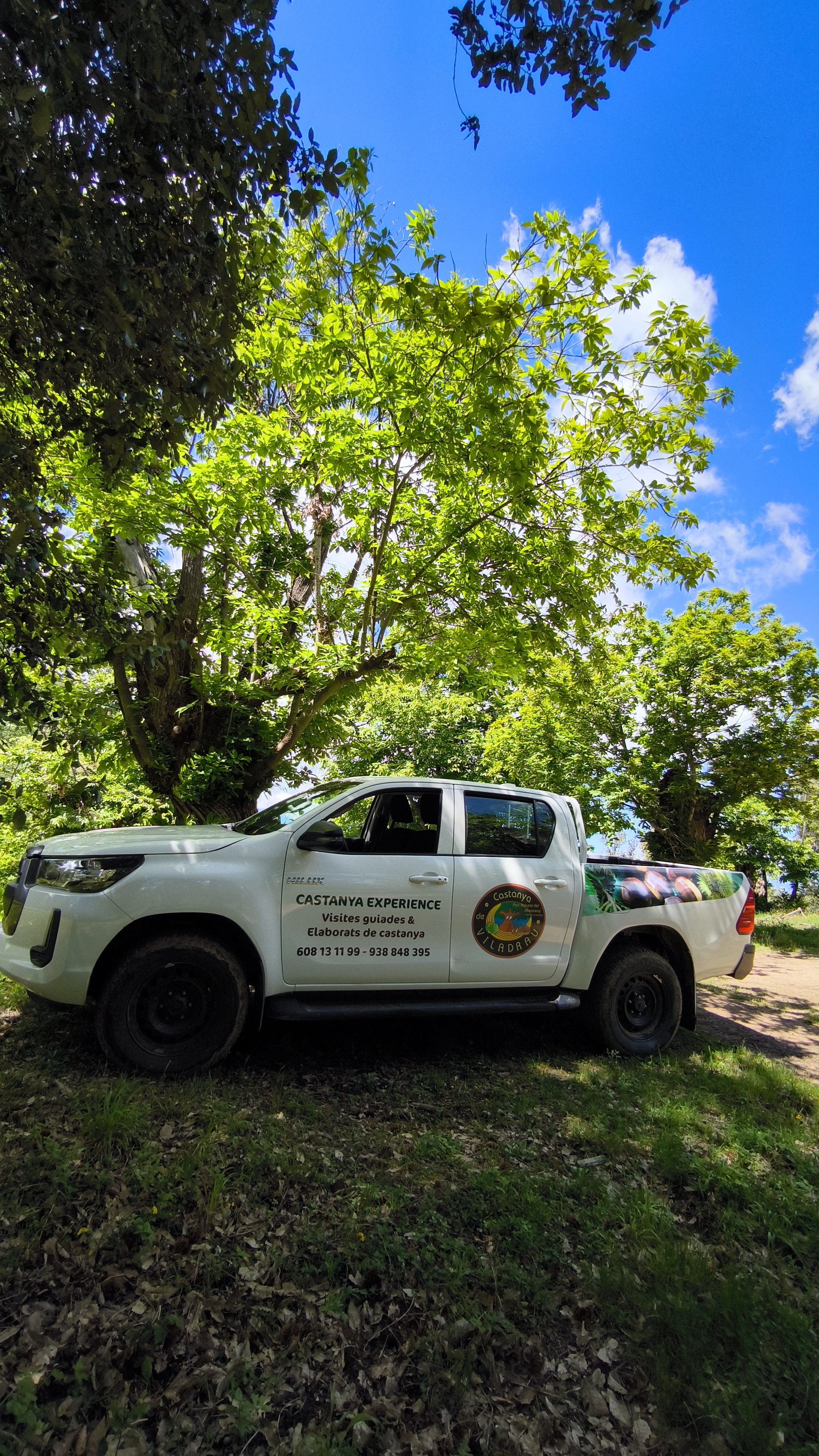 Vehicle 4x4 al bosc del Montseny