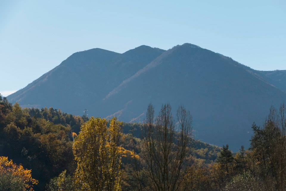 Paisatge de bosc i muntanyes al Montseny