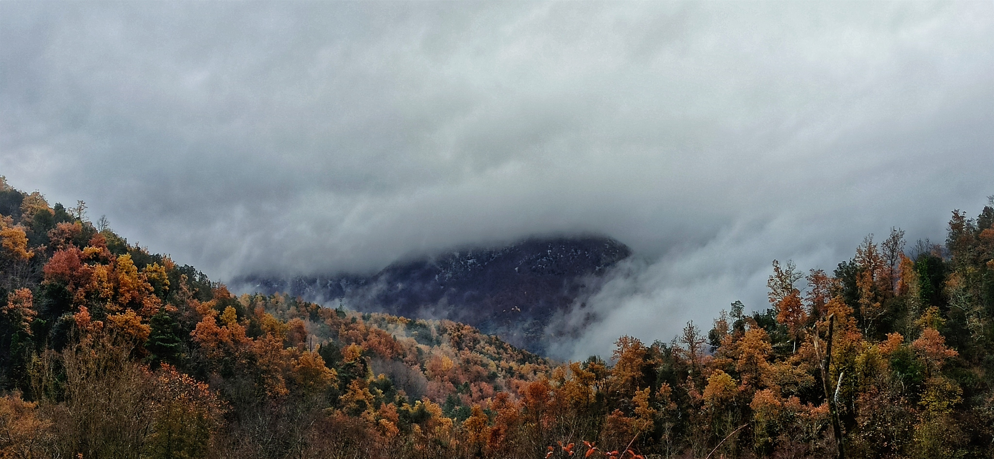 Visites guiades al Montseny