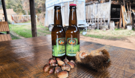 CE011- Cervesa de Castanya