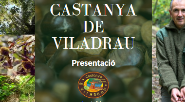 Visites guiades a la Castanya de Viladrau